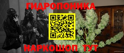 прущие крисы Вязники